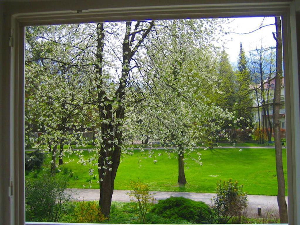 Ferienwohnung Am Ortenaupark باد ريشنهول المظهر الخارجي الصورة